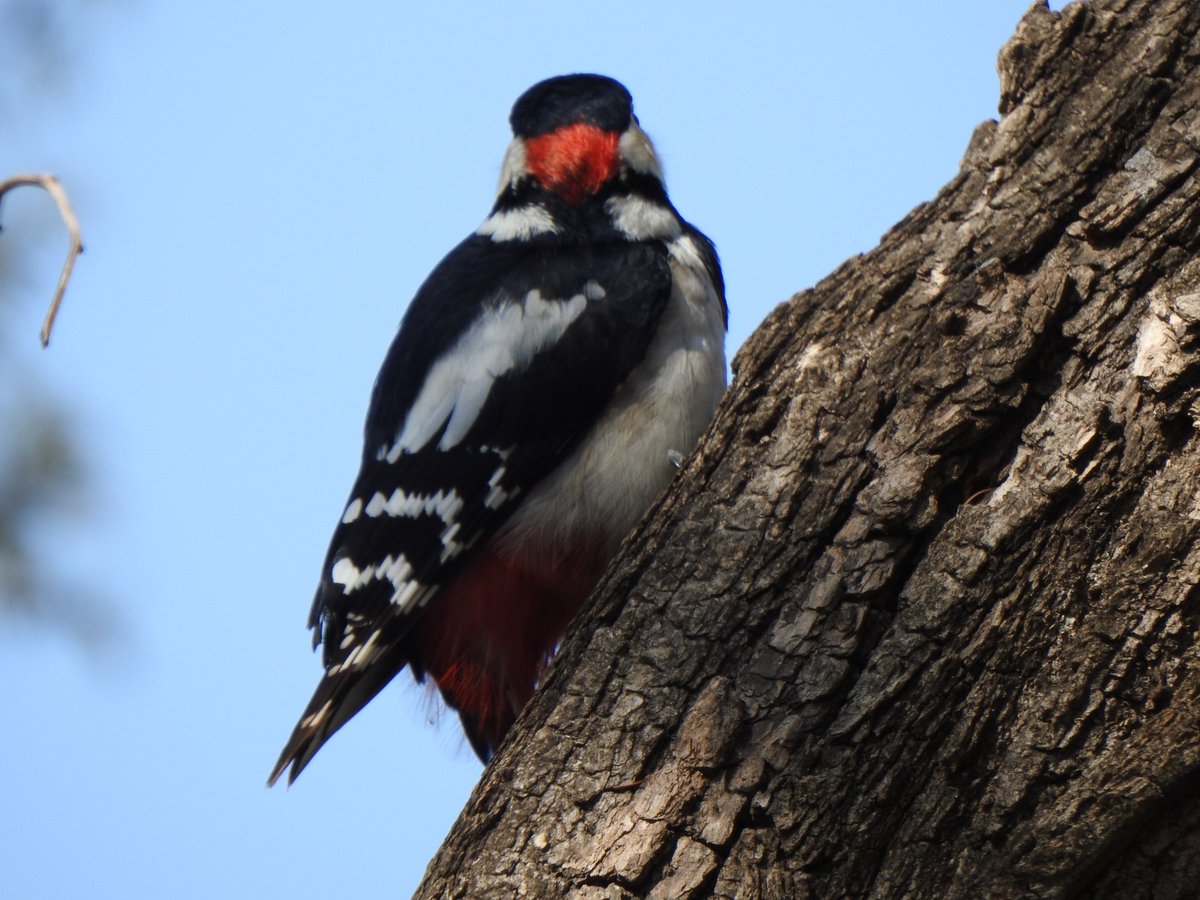 jupiter1390 tweet media