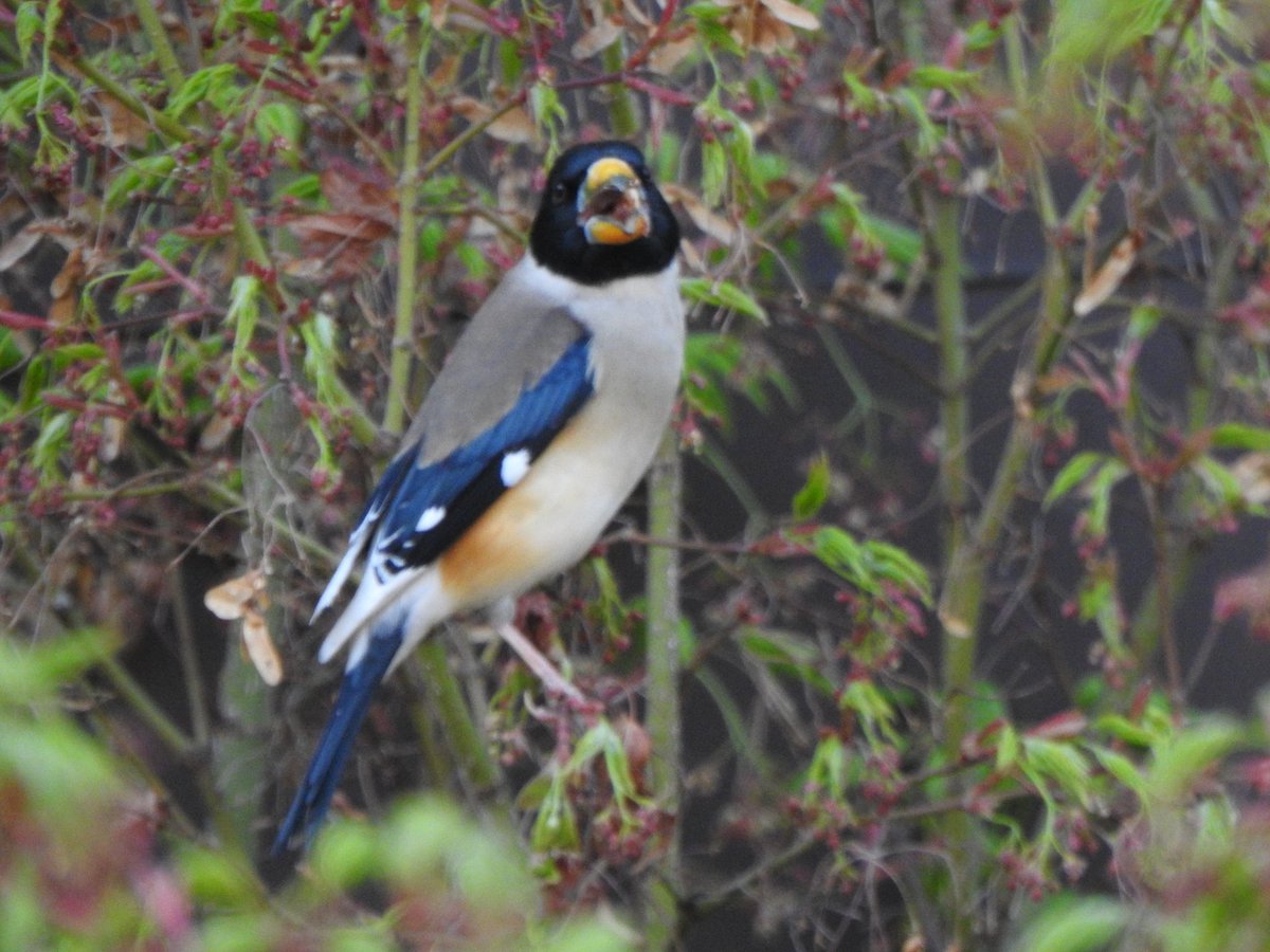 jupiter1390 tweet media