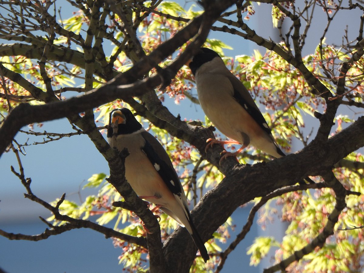 jupiter1390 tweet media