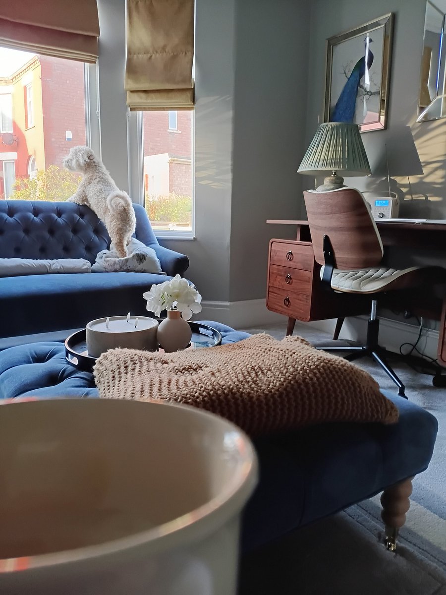 Gilly 🖤 tweet media