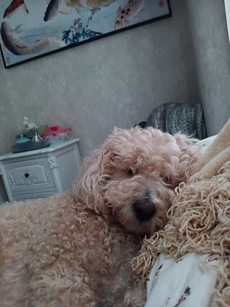 Gilly 🖤 tweet media