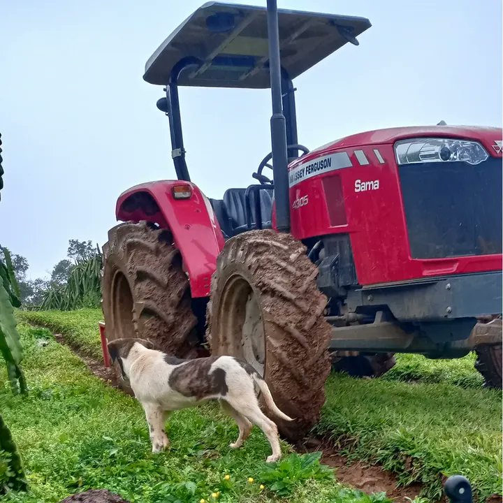 Abdikadir tweet media