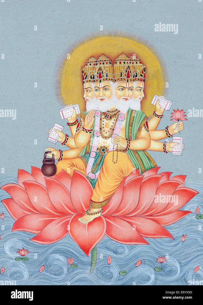 Banyak yang salah mengira kalau bunga ini adalah bunga teratai, padahal bunga ini aslinya berbeda sama bunga teratai lho, bunga ini namanya bunga seroja atau yang biasa disebut sebagai bunga lotus.
Bunga ini adalah bunga yang disucikan di 2 agama lhooo, yaitu di agama hindu dan