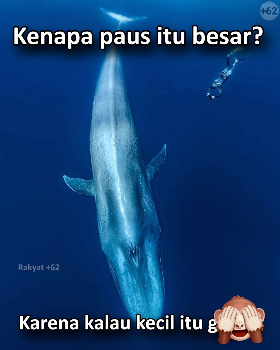 Ketawa itu GRATIS 🛩 tweet media