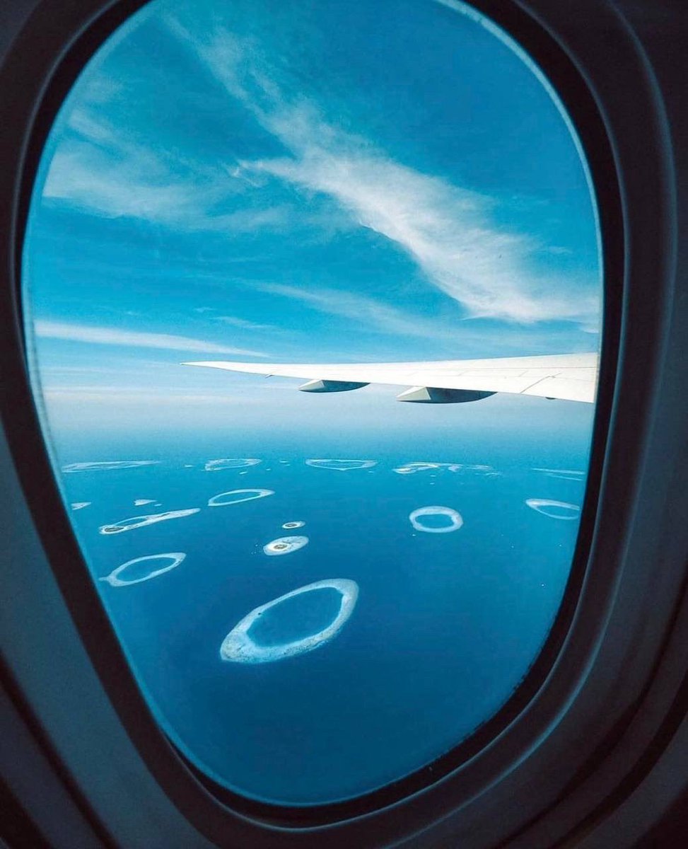 Aviation Maldives tweet media