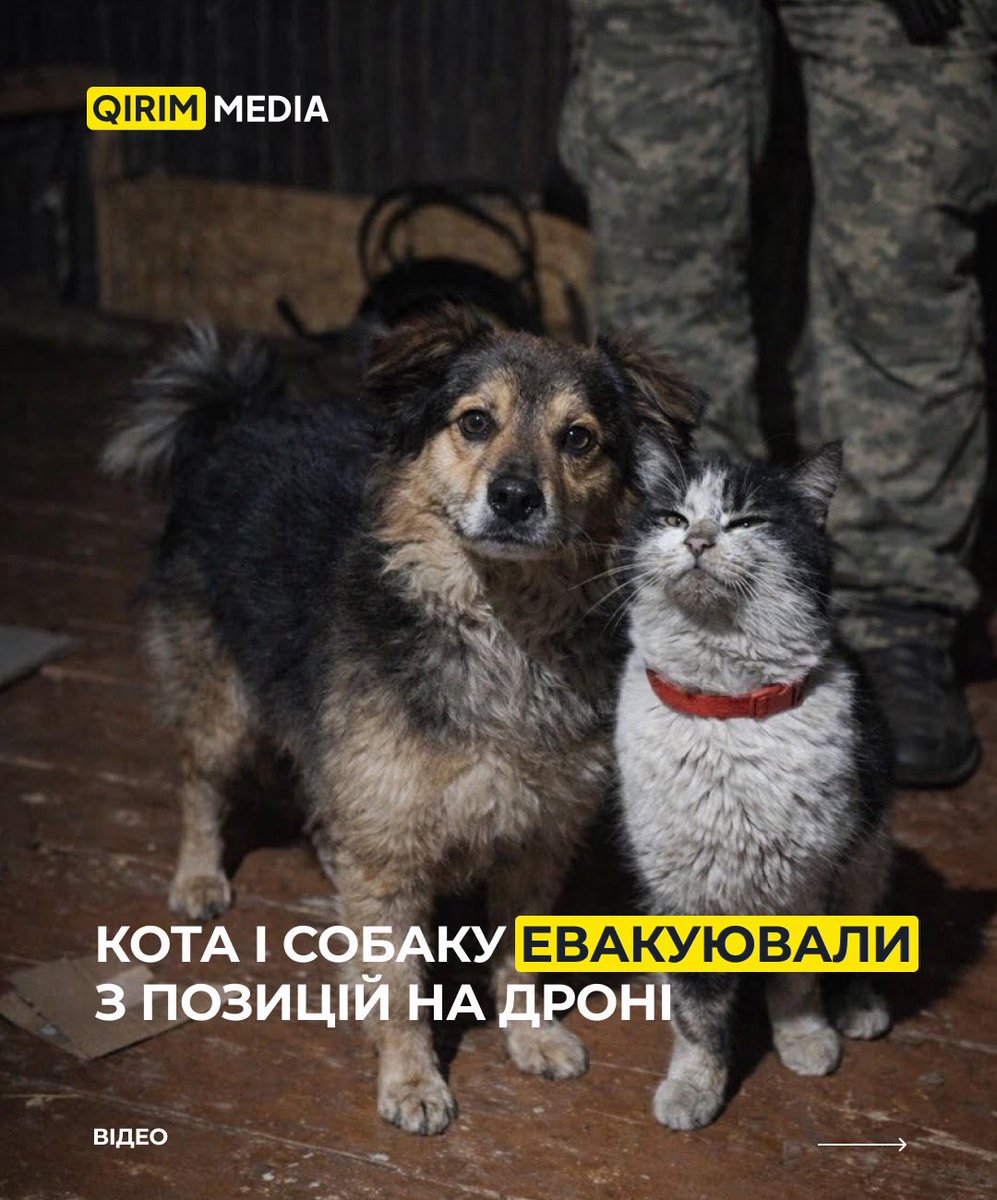 А потім вони запишуть альбом, але це не точно…

А якщо серйозно, ну дивлячись на них зʼявляється якась маленька надія, не надовго, але зʼявляється.