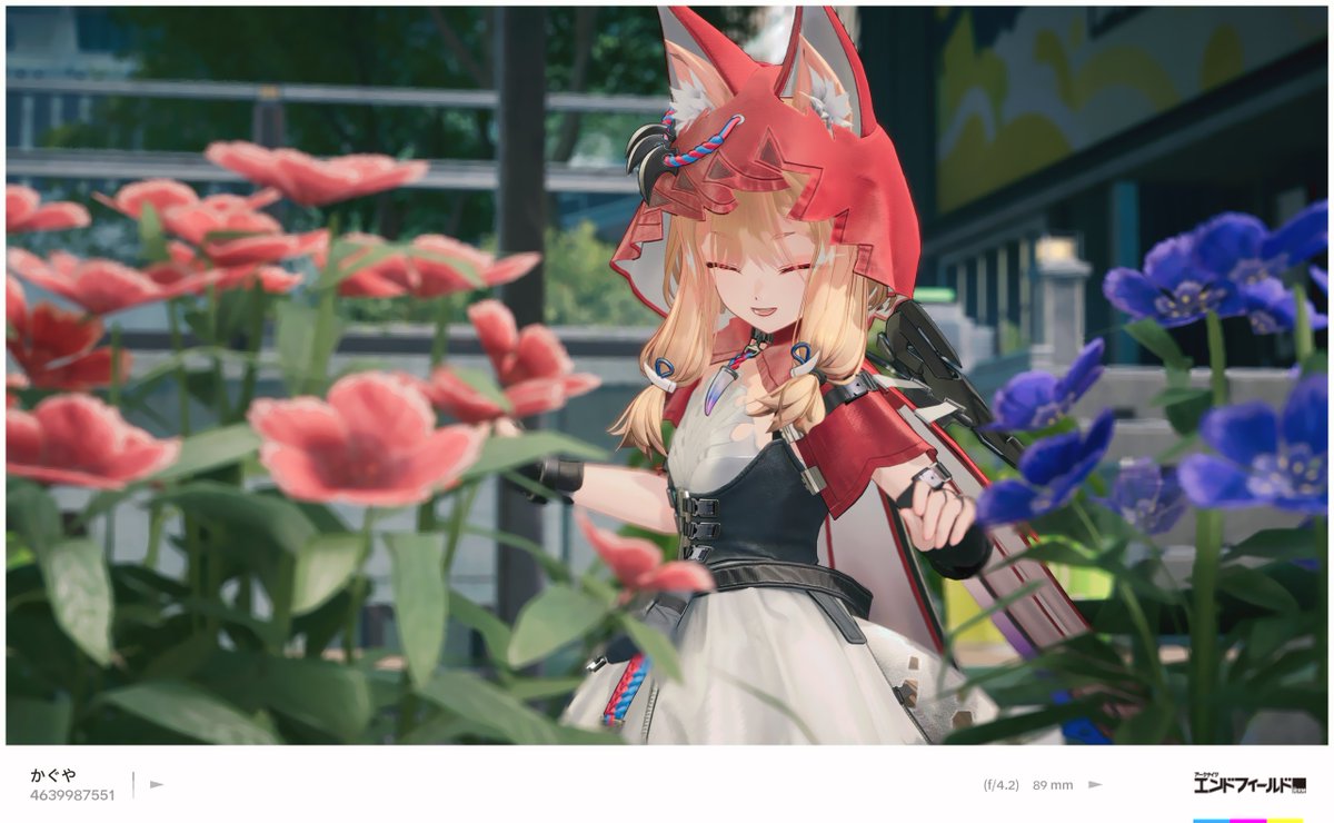 Kaguya_Hsr tweet media