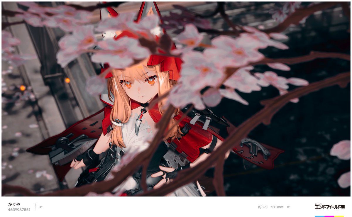 Kaguya_Hsr tweet media