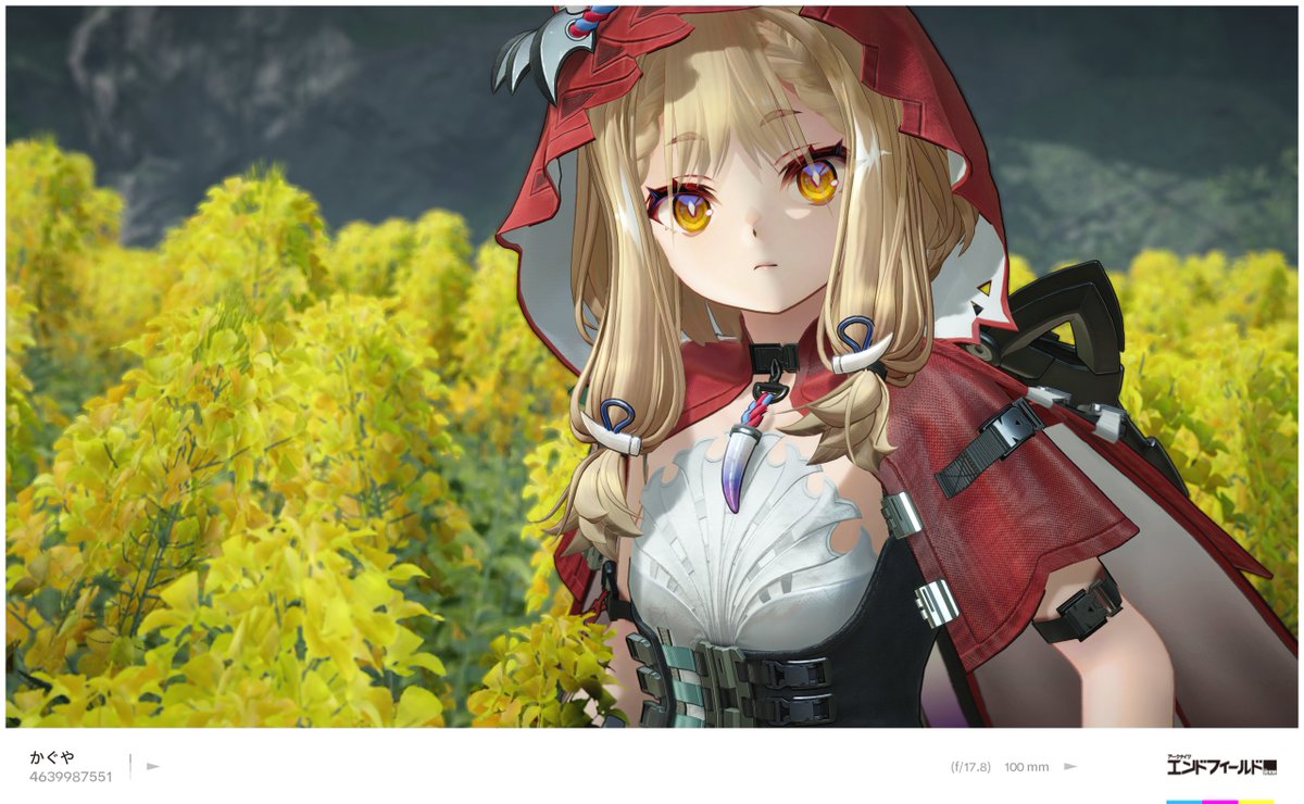 Kaguya_Hsr tweet media