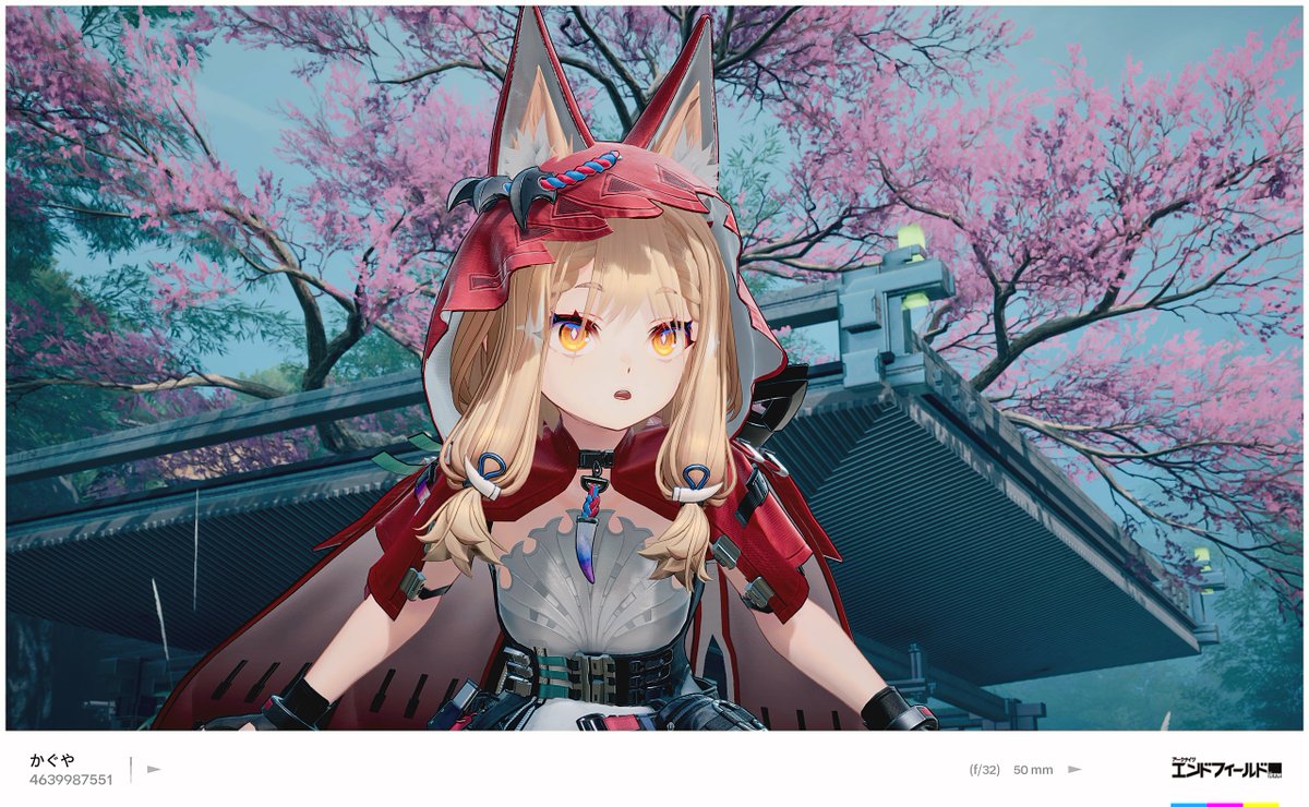 Kaguya_Hsr tweet media