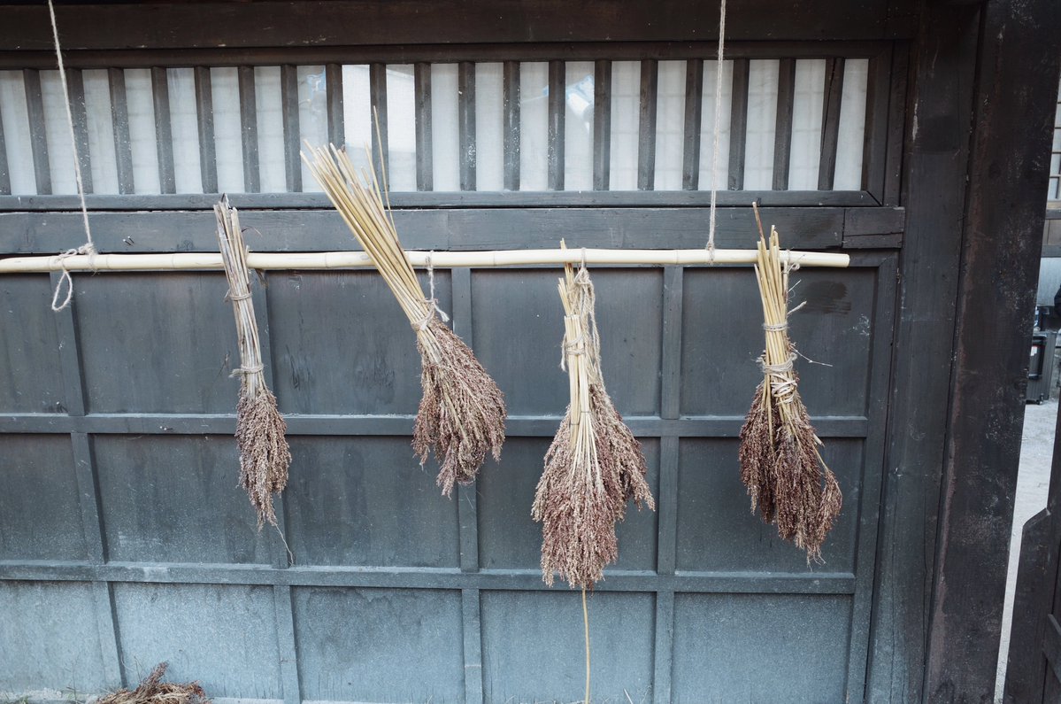 PATRICK OFFICIAL TH tweet media