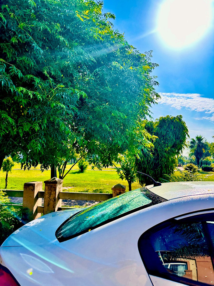 صنان جٹ tweet media