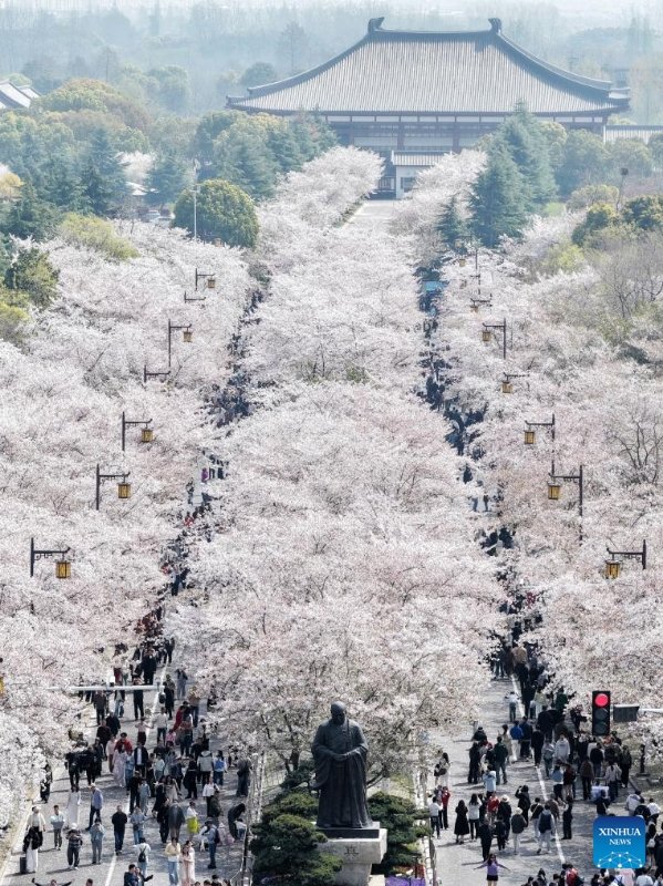 wheels_china's tweet photo. China has recorded vibrant #consumption growth during the three-day #QingmingFestival holiday. The holiday travel boom was boosted by the overlap of the festival and #SpringBreaks for primary and secondary school students in many regions, official data showed on Monday. https://t.co/7Gty28x9LC
