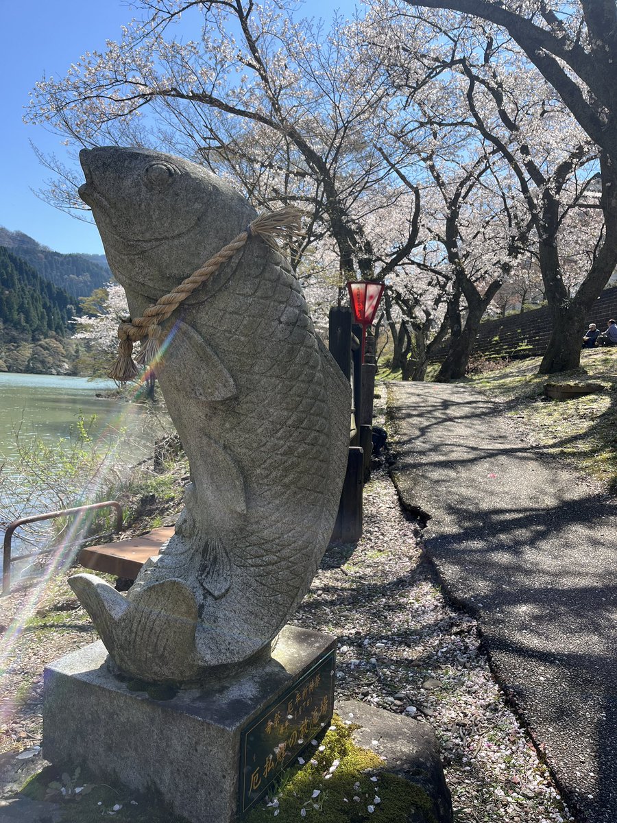 しずく tweet media