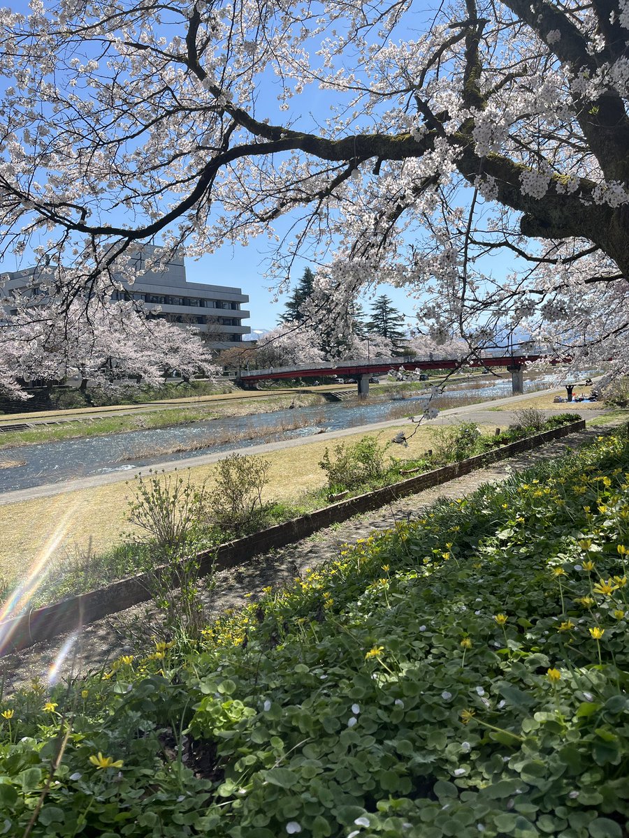 しずく tweet media