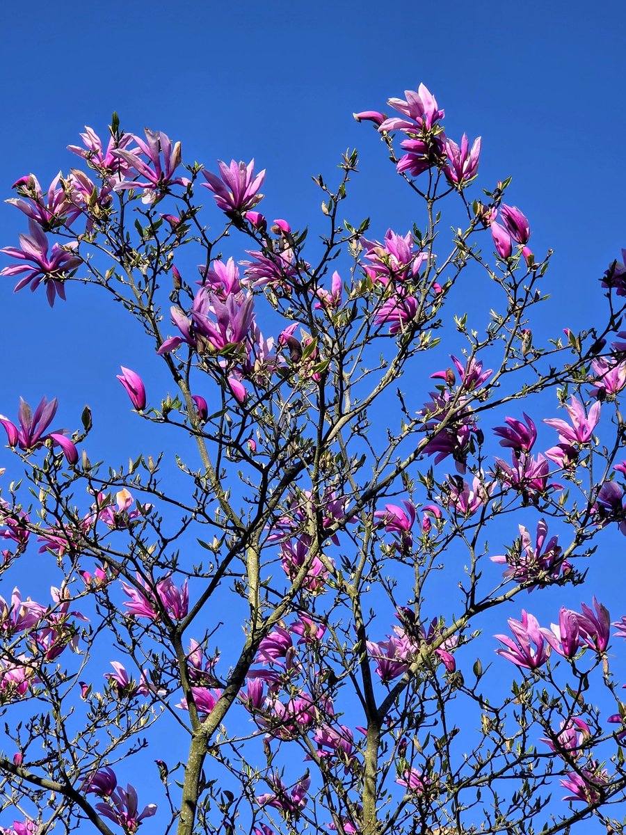 Infowiesel  tweet media