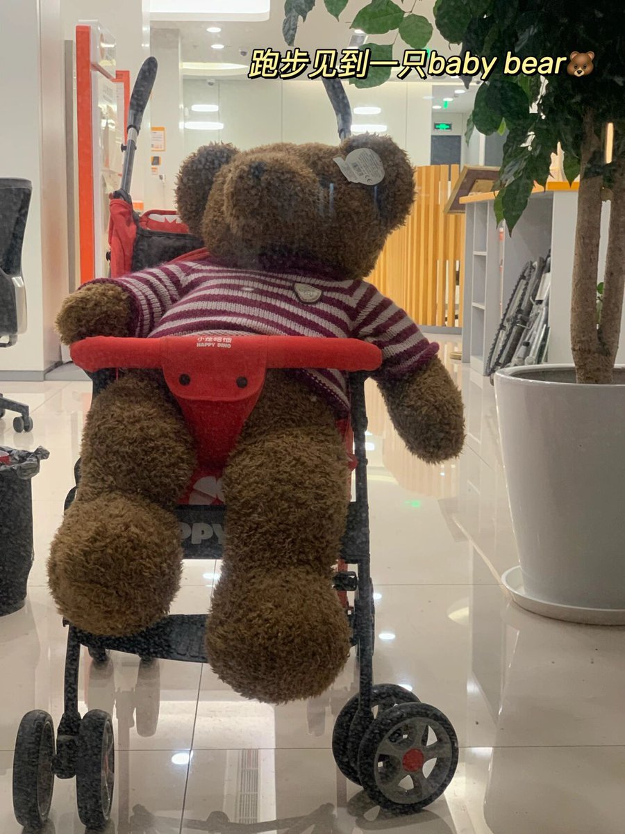 Жердецкий Александр tweet media