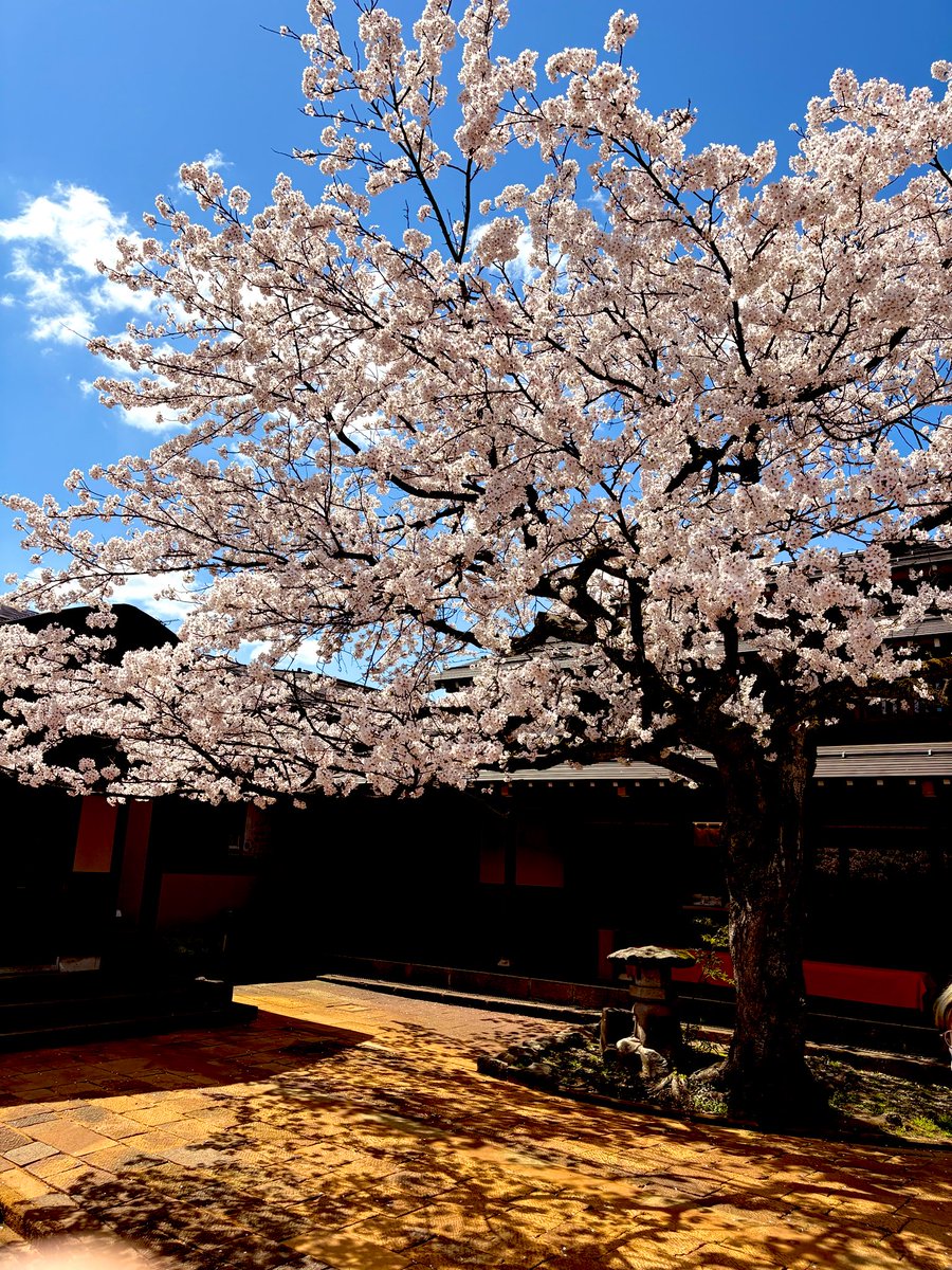 ぐらど tweet media