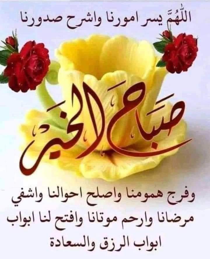 عدنان  الصالحي tweet media