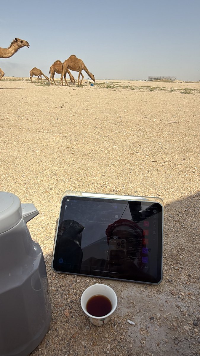 ‏ نِزَار بس مش قباني tweet media