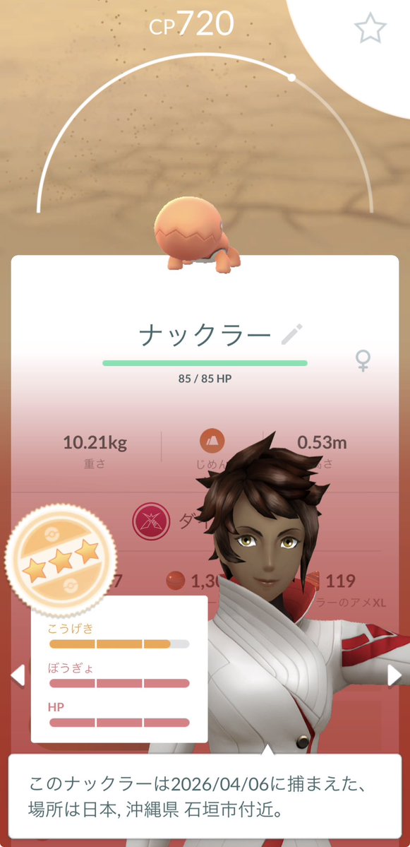 Holly✴︎たまにマンタインのメンテ員🏝️✨ tweet media