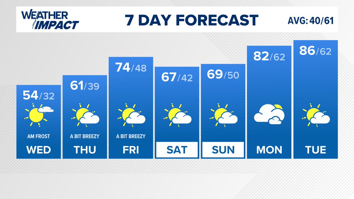 Andrea Michaels tweet media