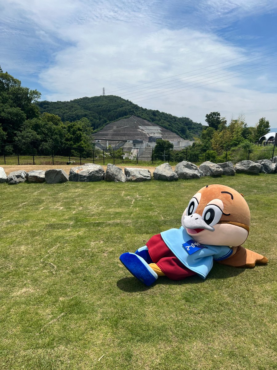 もずやん＠大阪府広報担当副知事 tweet media