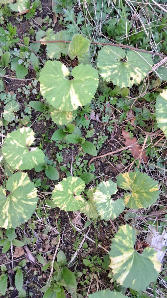 이근제 tweet media