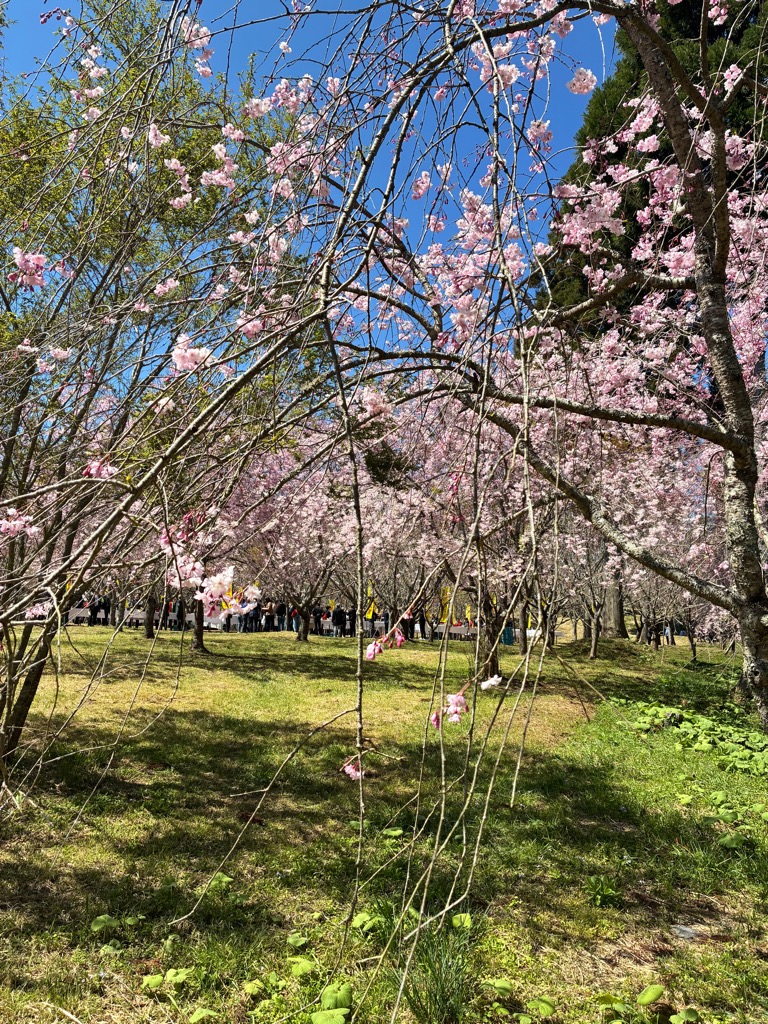 Oita Hita tweet media