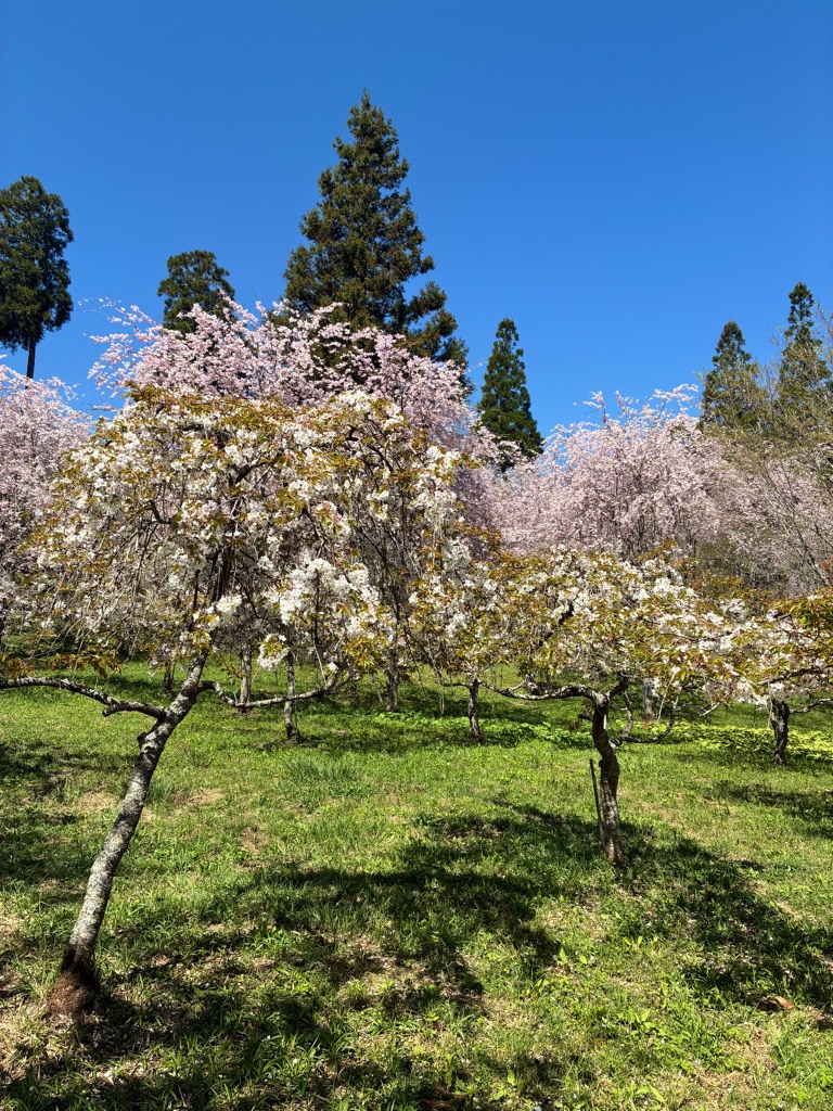 Oita Hita tweet media