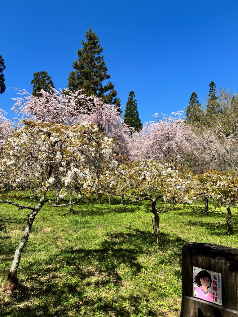 Oita Hita tweet media