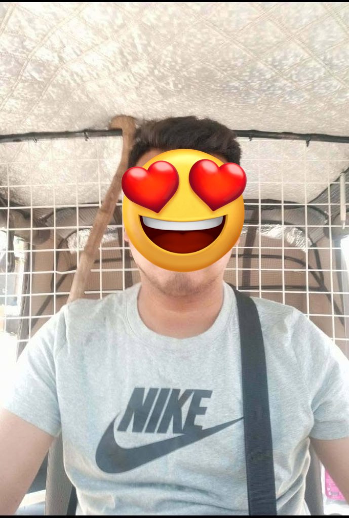 One Night tweet media