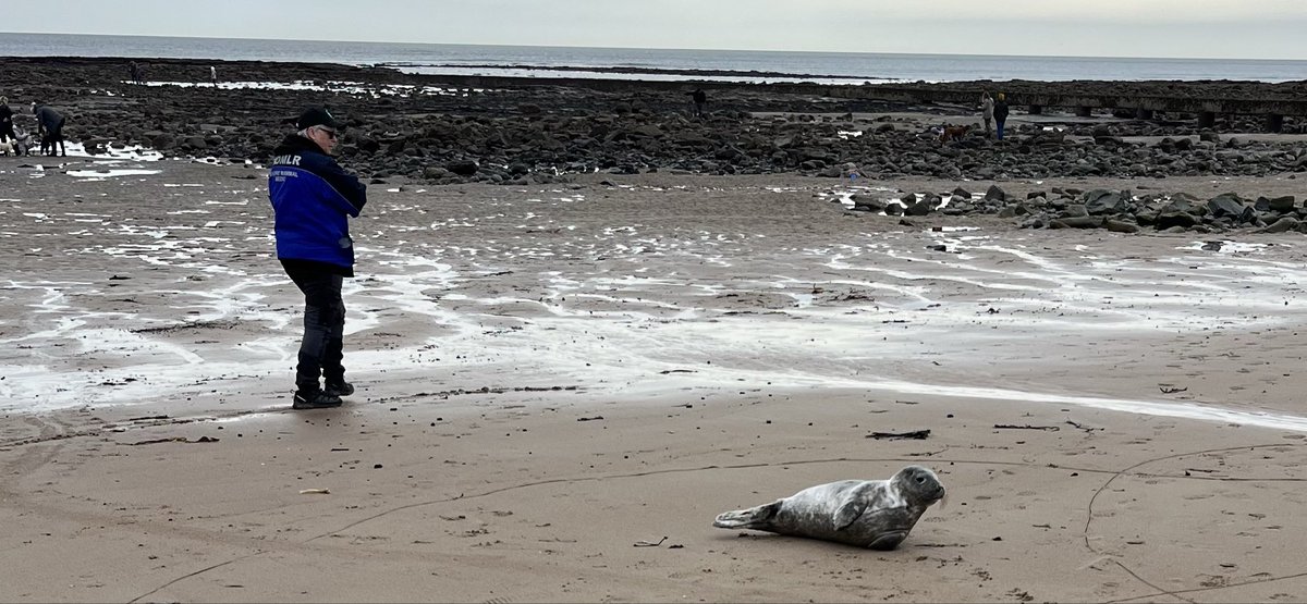 Mark Bishop tweet media