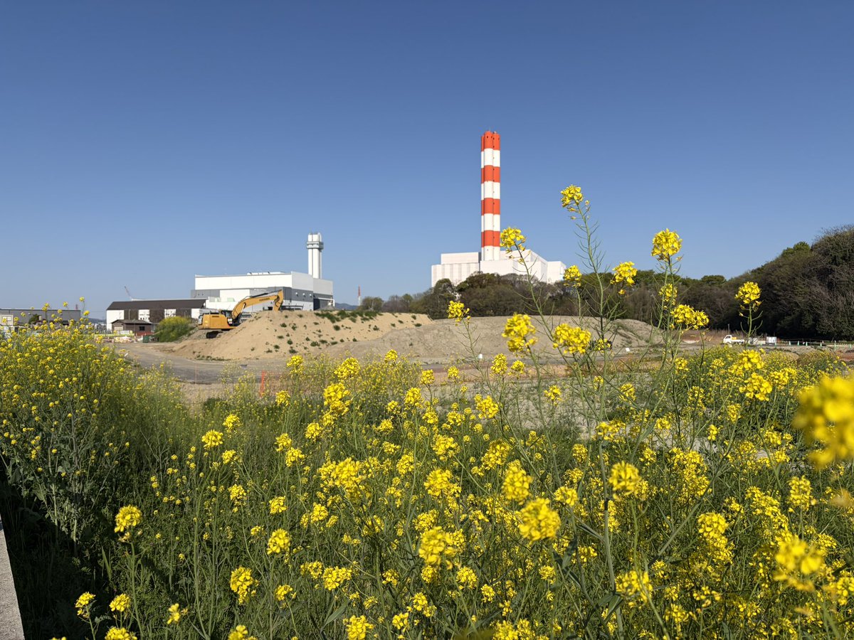 あおえみ tweet media