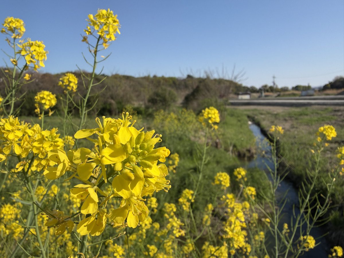 あおえみ tweet media