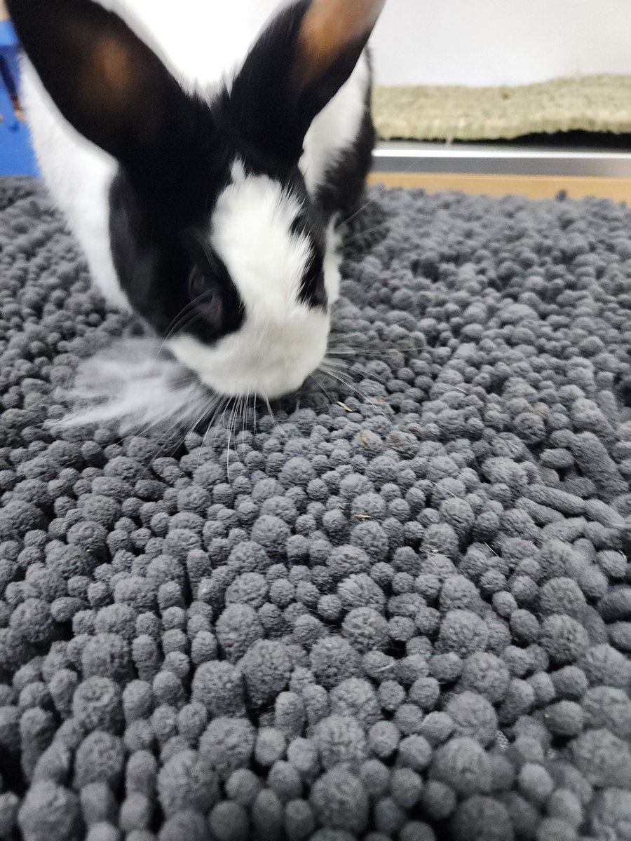 HHome🕯 tweet media