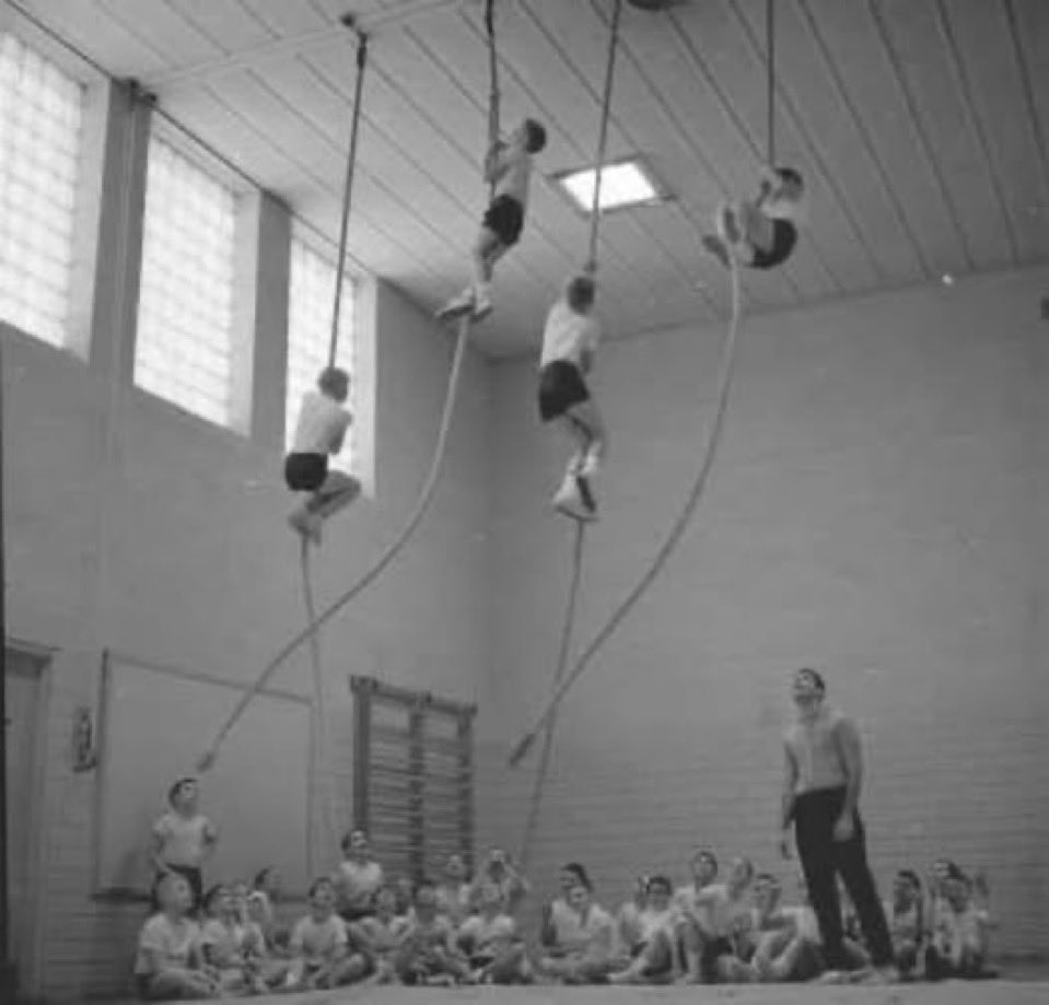 GnosisWolf tweet media