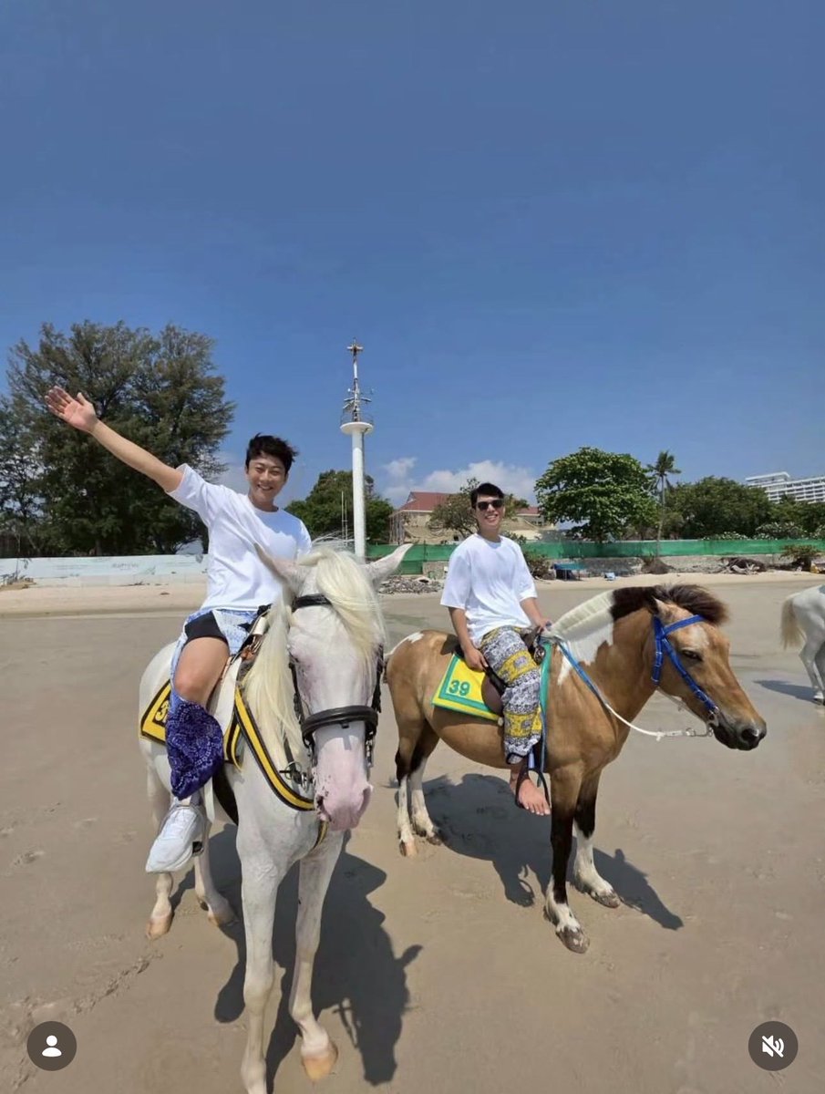 บัวลอยข้าวหลาม _cullen_ 🩵🩷 tweet media