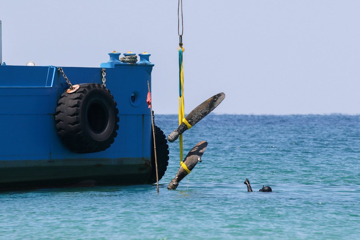 🥃鎌 倉🥃〜佐世保へ移住しました〜 tweet media