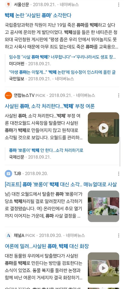 아이나 tweet media