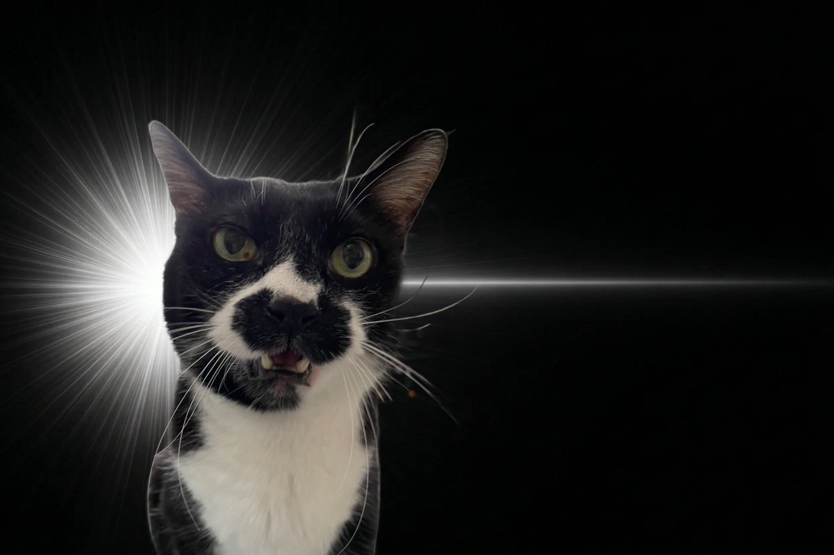 蛯原🍤( '-' 🍤 ) tweet media