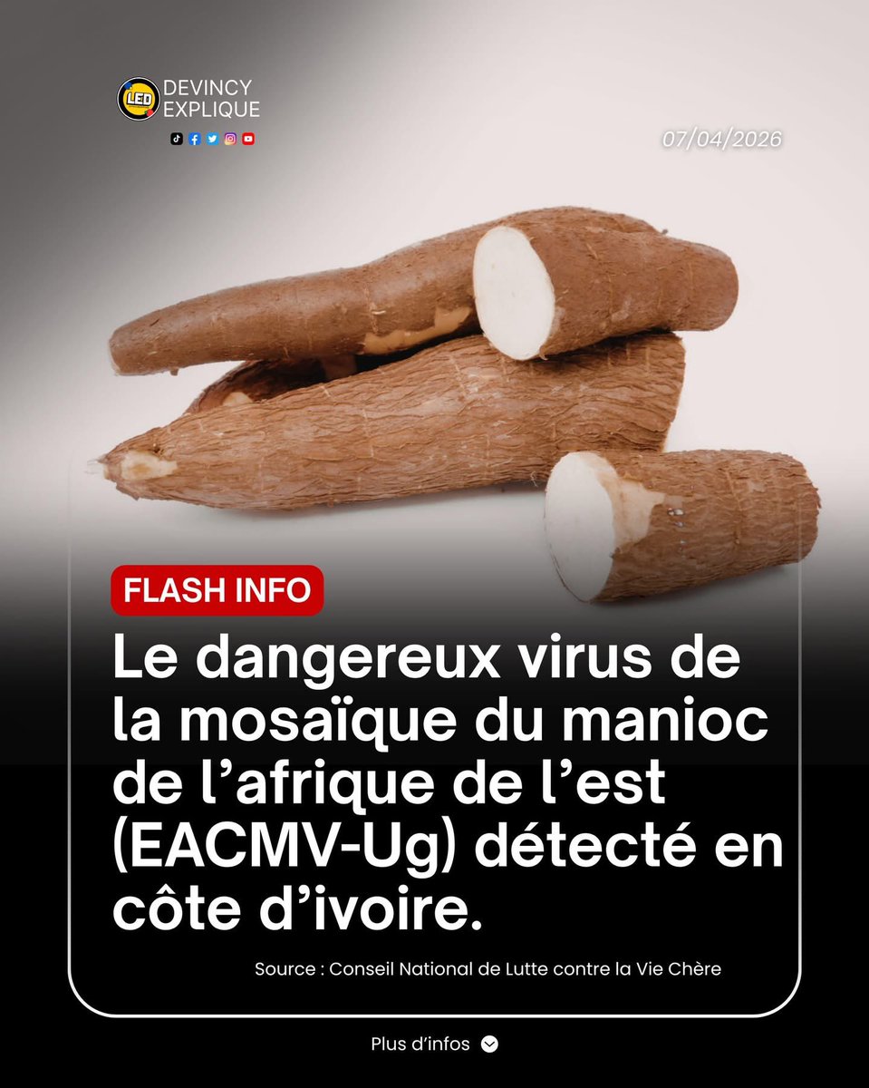 une fée🥺🤍🏆🇨🇮 tweet media