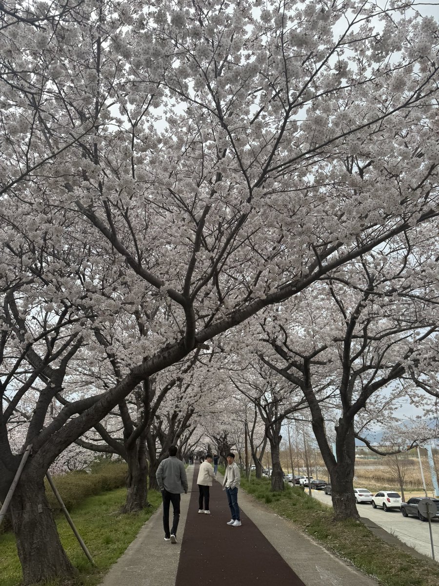 Sodam__v's tweet photo. 계정이동 완료해서 서서히 찾아뵙고 인사드릴게요! 
검은 고양이 프사 계정이에요🐈‍⬛🐈‍⬛🐈‍⬛🩷🩷 https://t.co/1yjUFmebx1