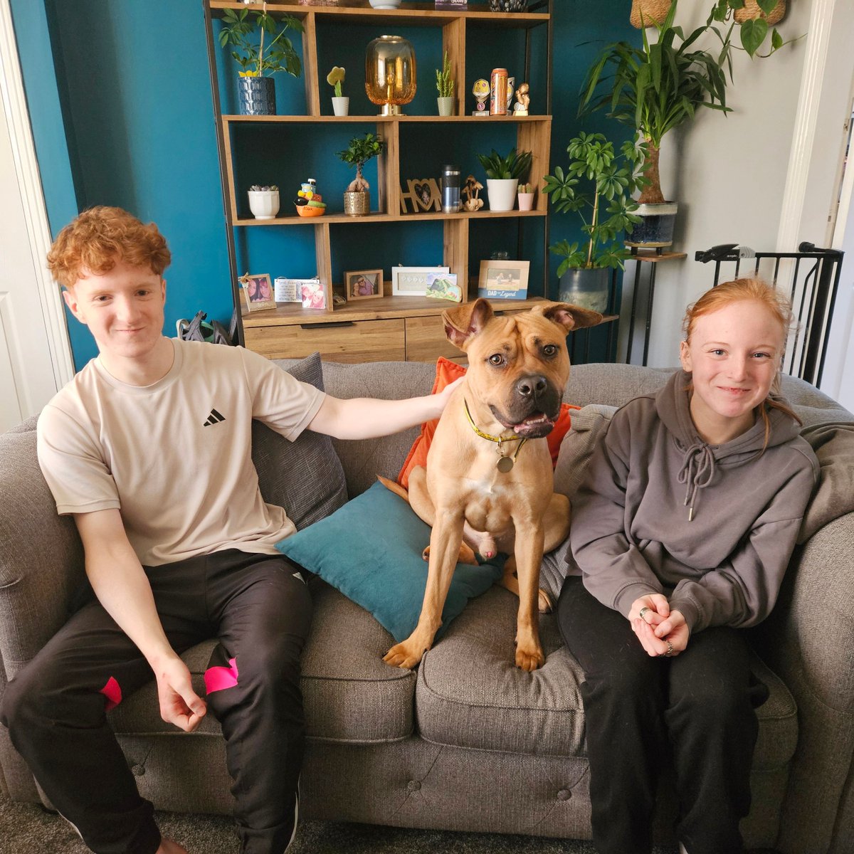 DT_Leeds's tweet image. A wonderful PUPdate from Buck who was adopted from us last winter. 🎉

Clearly living his best life every day! 🥰

Looking to adopt a #RescueDog?
Find out how 👉 bit.ly/DTLEEDS

#GoodNews #Leeds #FeelGood #SuccessStory #AdoptDontShop @DogsTrust