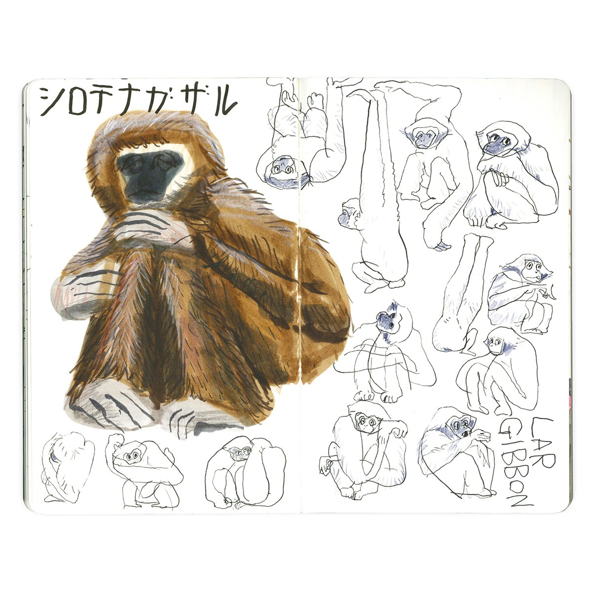 タケウマ tweet media