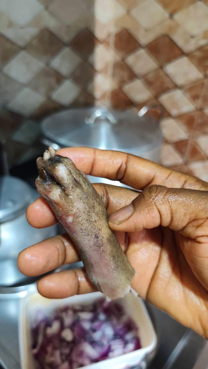 Àyíndè ómó oni jersey 😊❤️ tweet media