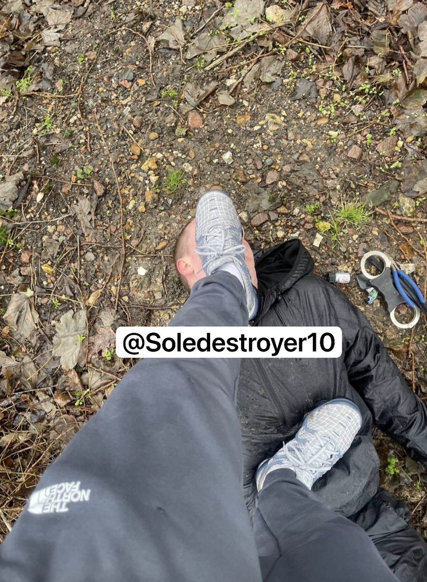 Soledestroyer10's tweet photo. I couldn’t give a single fuck about your well being or your crumbling mental state. My only goal is taking what’s mine while I systematically crush and humiliate you 🐷 https://t.co/Mov5zjxTB0