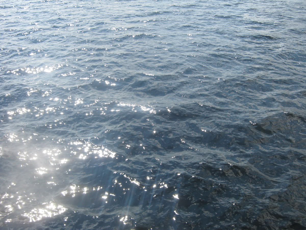 𝜗𝜚 ࿐ ݁⋆ tweet media