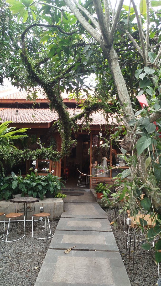 maukurus_ tweet media