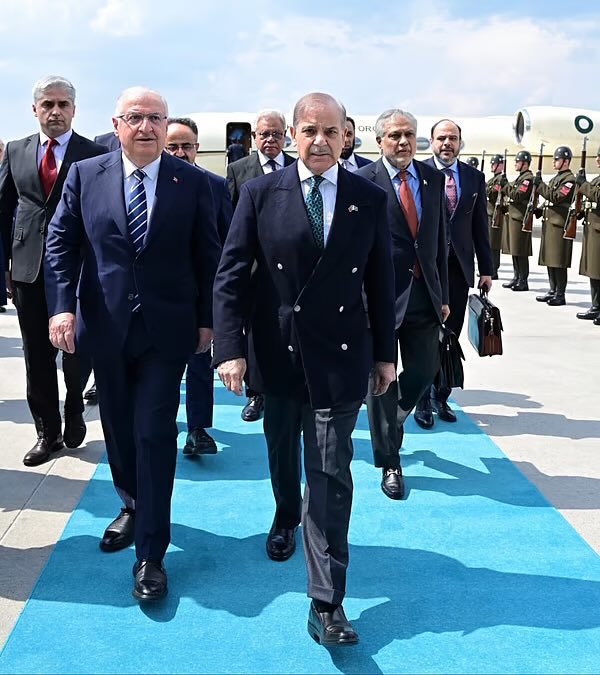 وہ سارے لائن بنا کر کان پکڑیں جو طنزاً کہا کرتے تھے کہ شہباز شریف <a href="/CMShehbaz/">Shehbaz Sharif</a> چند دن کے دورے پر پاکستان تشریف لائے ہیں